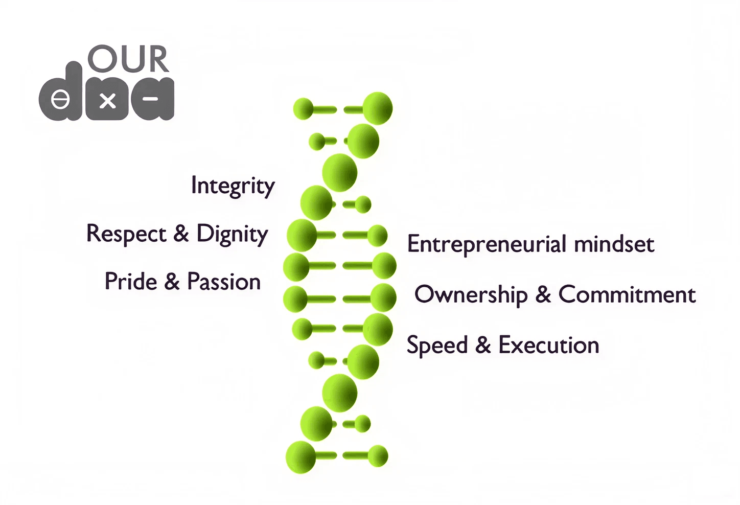 Quant DNA